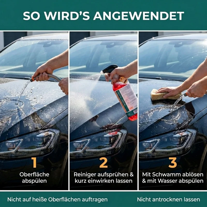 Insektenreiniger Auto