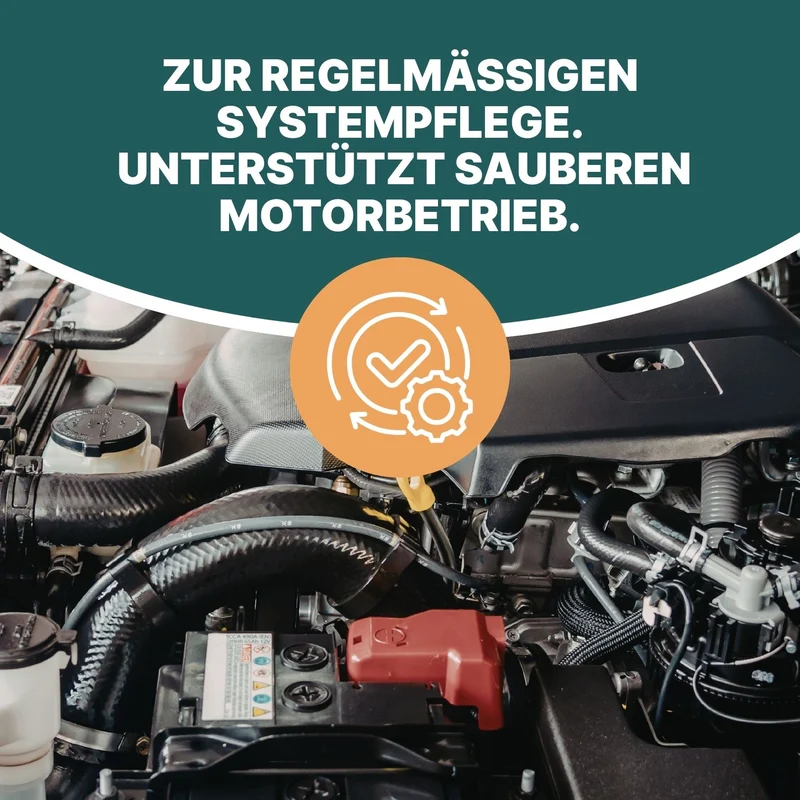 Ansaugtraktreiniger Benzin