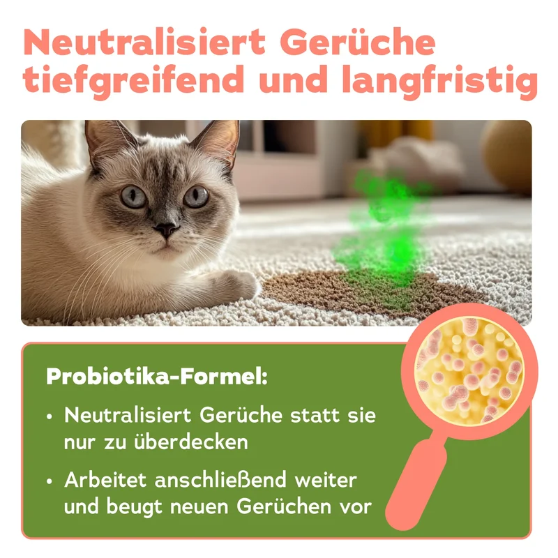 Geruchsentferner-Set Katze (3-teilig)