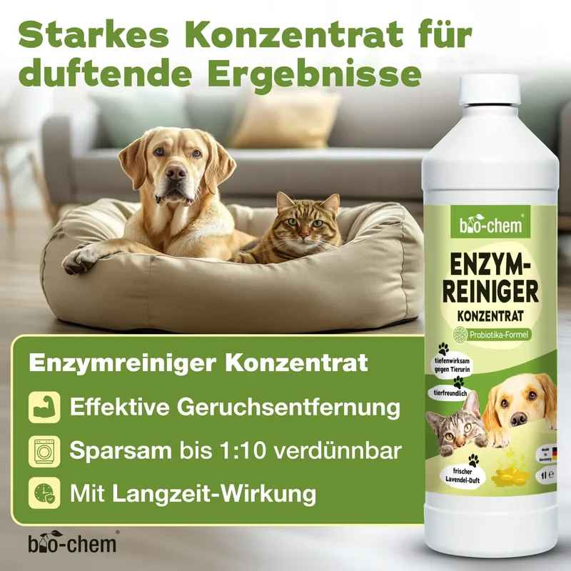 Geruchsentferner-Set Hund (3-teilig)