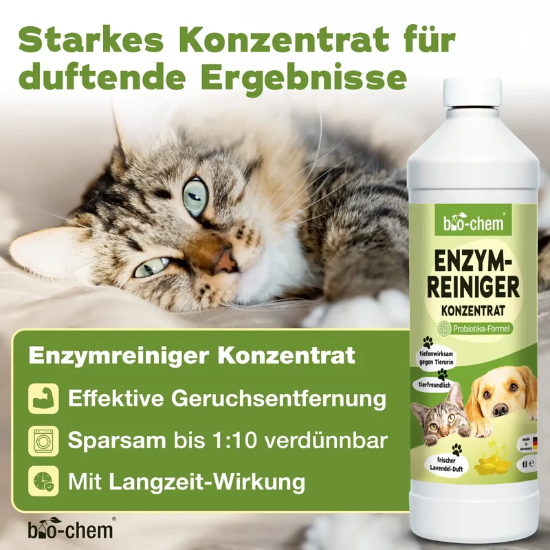 Enzymreiniger + Geruchsentferner Katze (2-teilig)