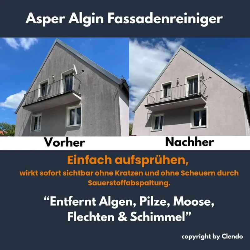 MTS Original AsperAlgin Fassadenreiniger 1l