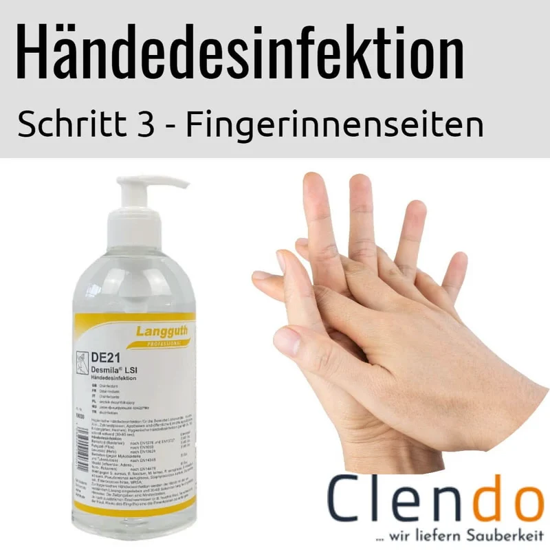 Langguth DE21 Desmila LSI Händedesinfektion 500ml Dosierflasche