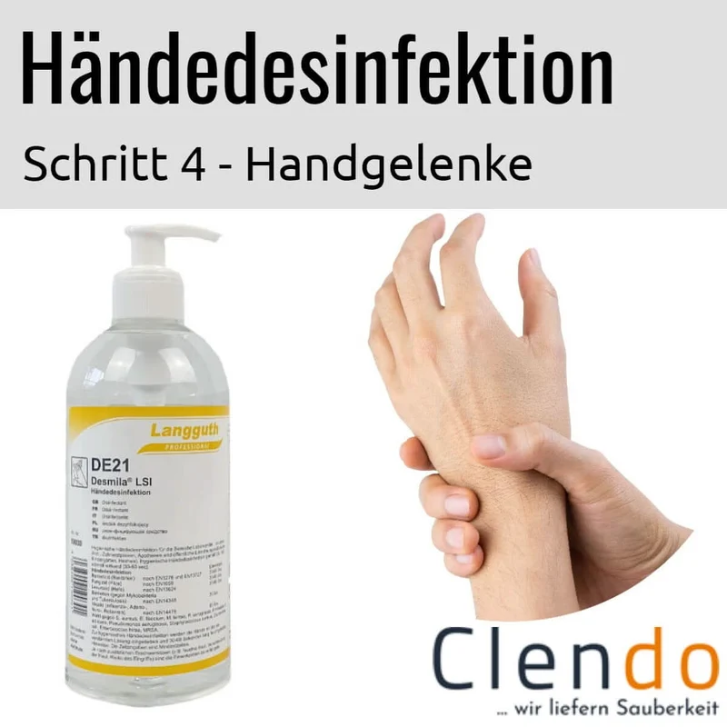 Langguth DE21 Desmila LSI Händedesinfektion 500ml Dosierflasche