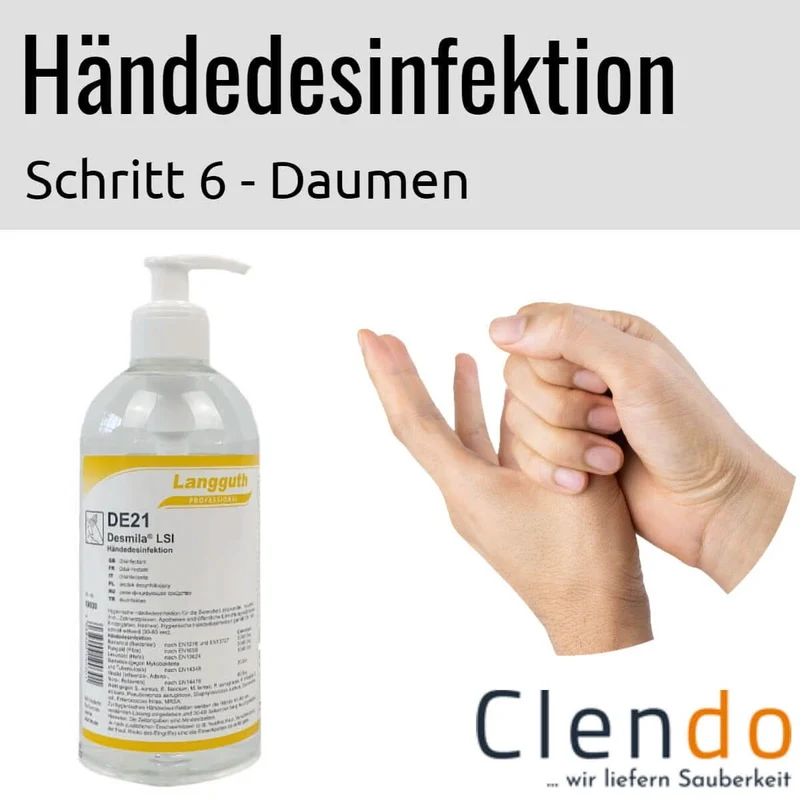 Langguth DE21 Desmila LSI Händedesinfektion 500ml Dosierflasche