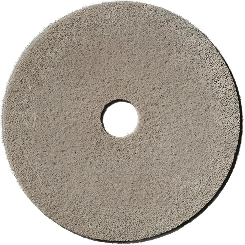 ShinePro Maintenance Diamantpad 10 Zoll
