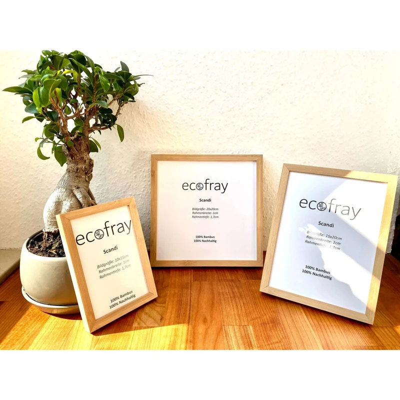 Ecofray Bilderrahmen "Scandi"