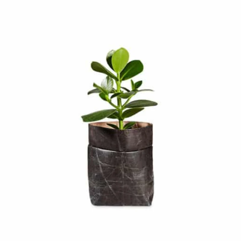 BELEAF Blumentopf "POD LEAF"