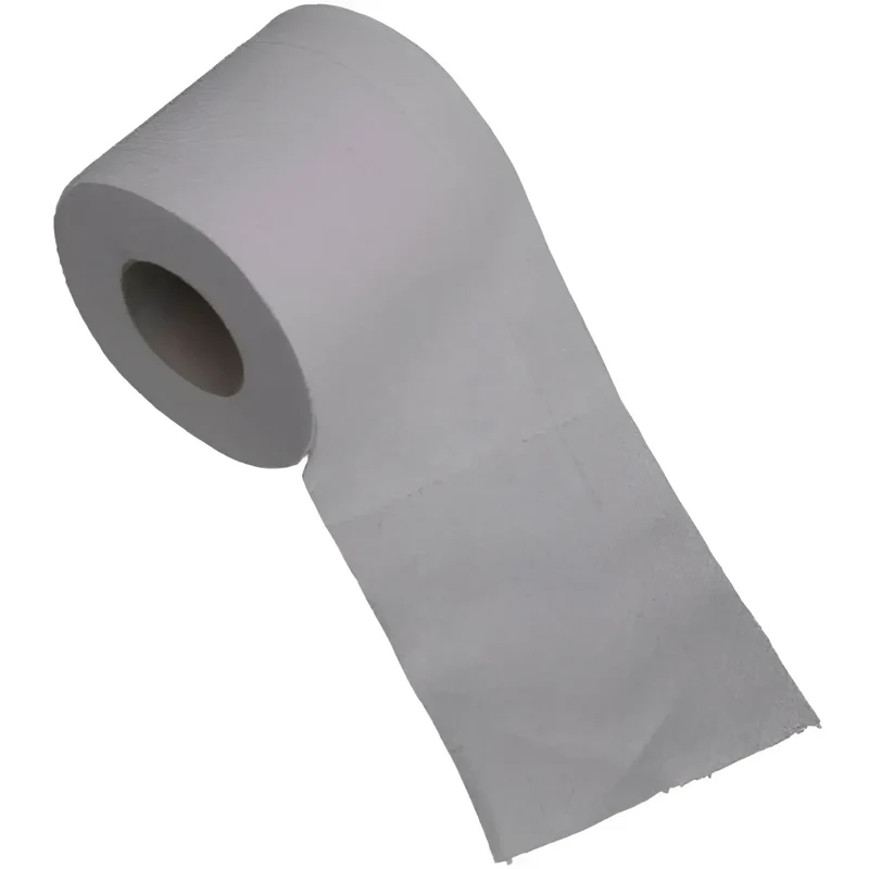 Toilettenpapier 2-lagig Recycling 250 Blatt 8x8 Rll