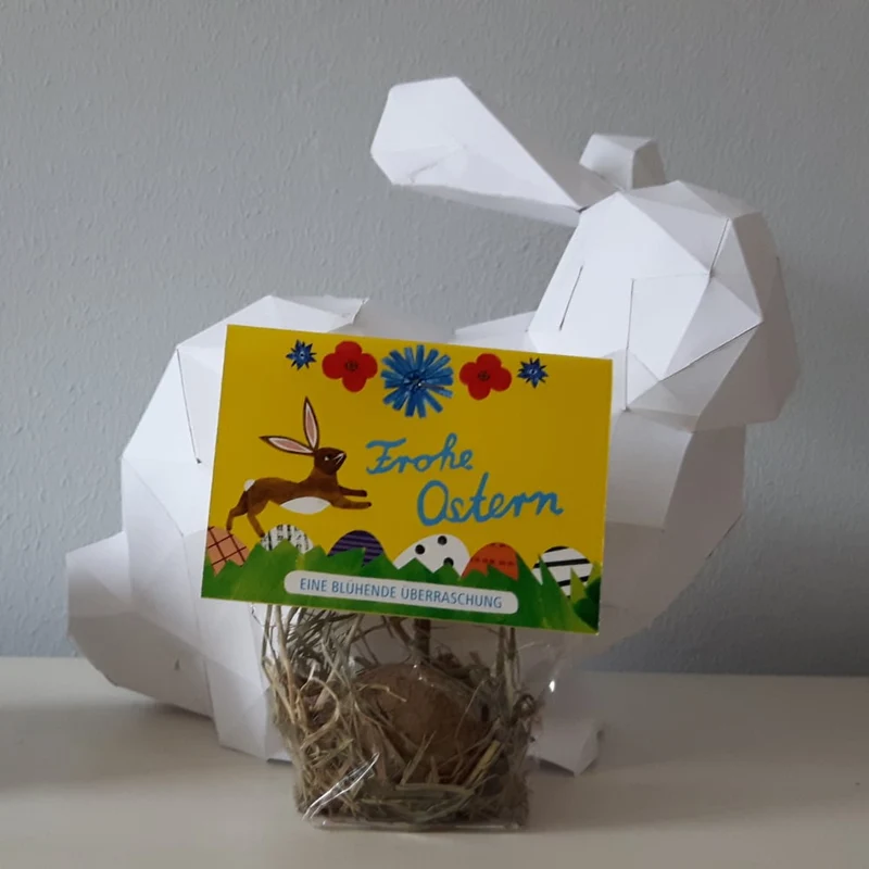 STUDIOLAUBE Saatgut Cellophantüte mit Blumenei "Frohe Ostern"
