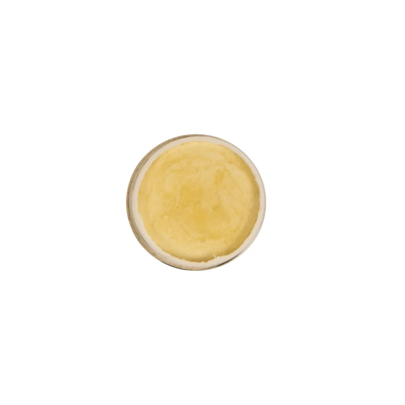 PlantBase Lippenpflege "Limette" 10 g