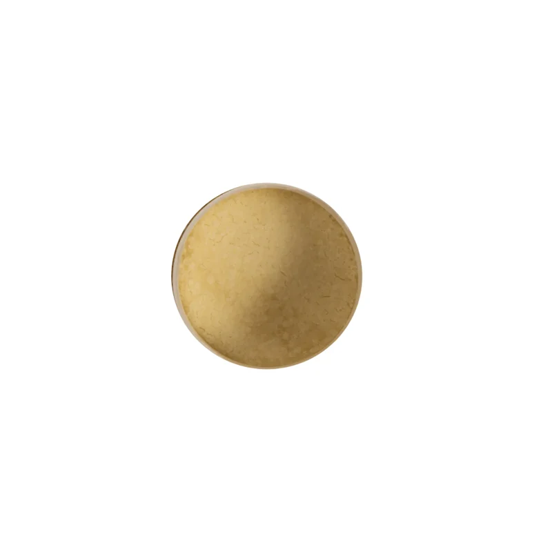 PlantBase Lippenpflege "Kokos" 10 g