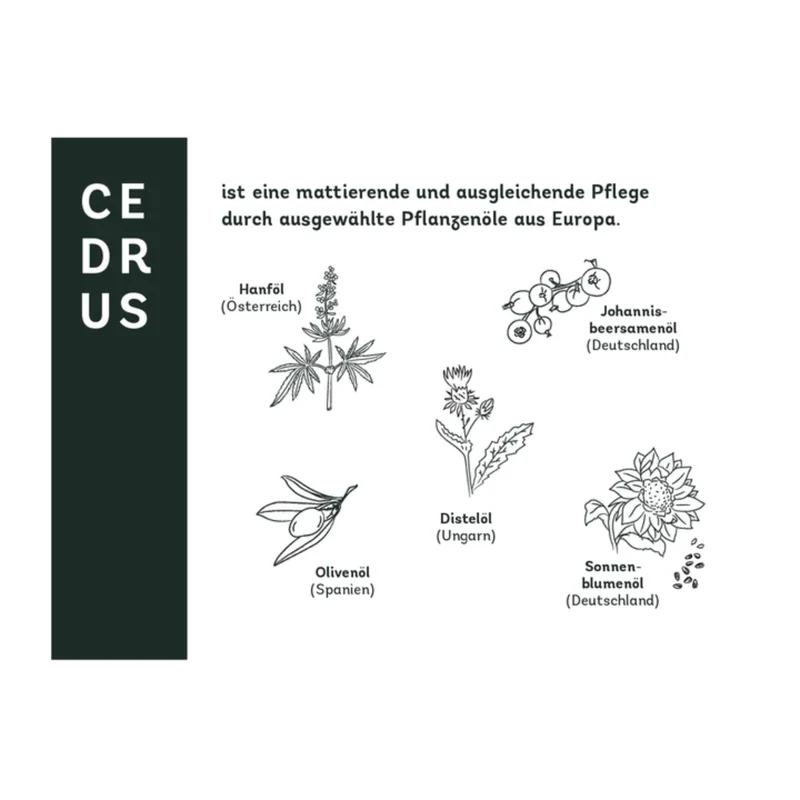naturschatz Gesichtscreme-Probe "CEDRUS" 2 ml