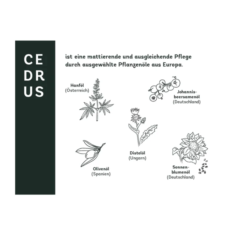 naturschatz Gesichtscreme Bundle "CEDRUS" 50 ml + 3x Sachets je 2 ml