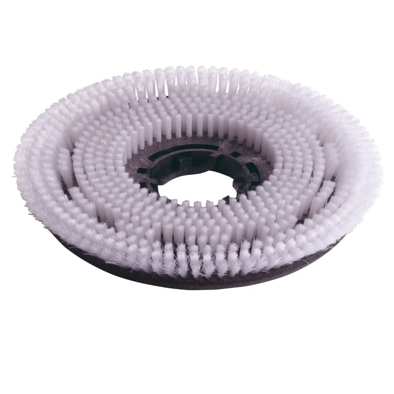Numatic 2 x Nylon-Scheuerbürste 220 mm (NUC244NX/TTB420) | Packung (1 Stück)