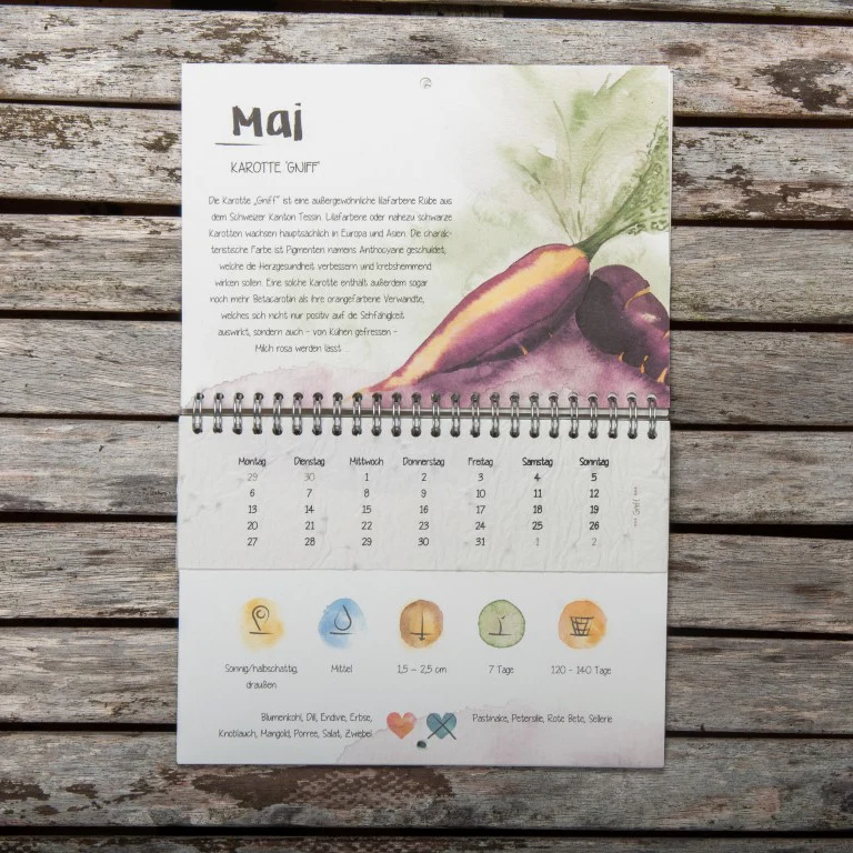 Der wachsende Kalender "Vergessene Sorten"
