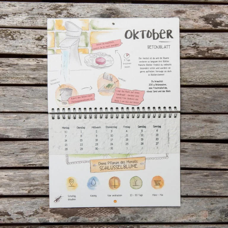 Der wachsende Kalender "Mein erster Garten"