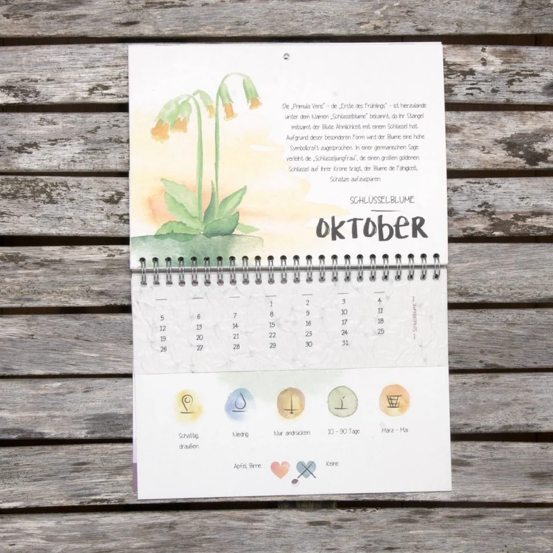 Der wachsende Kalender "Tausendsassa-Zeitlos"