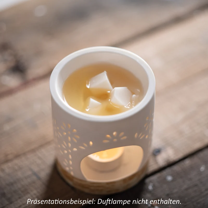 Scentmelts Raumduft-Wachs 'Singles'