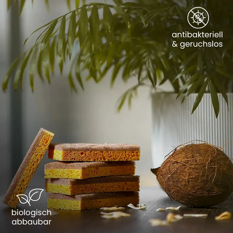 BiOHY éponge de coco