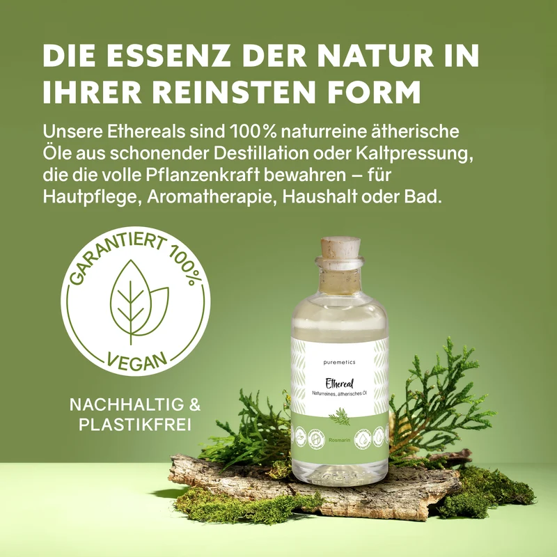 Ethereal 'Rosmarin'
